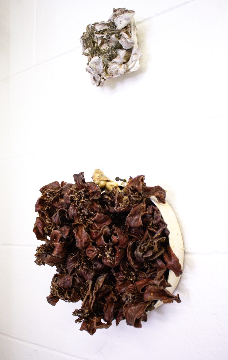 "Perpetuation 1", Dried flowers, readymade, doll, varnish, paint, 30x27x4 cm, 2023