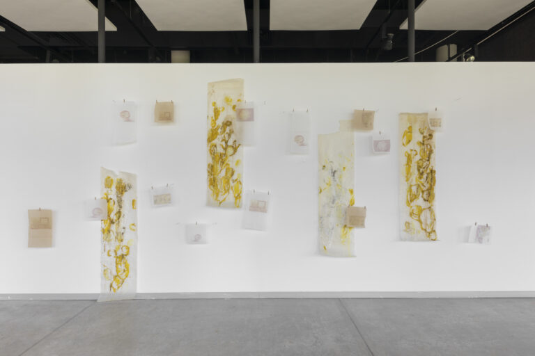 Installation of joint work with Natalie Koski - prints and drawings on baking paper, 2022